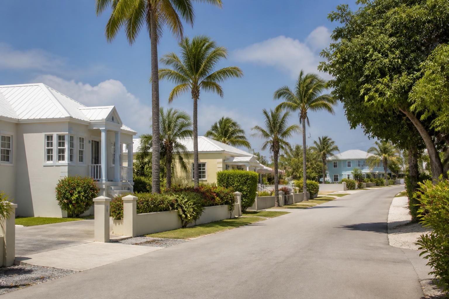 Palm-lined residential street with tidy homes in Bodden Town
